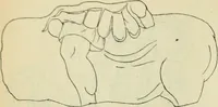 An illustration from Répertoire de la statuaire grecque et romaine (1908)