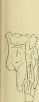 An illustration from Répertoire de la statuaire grecque et romaine (1908)