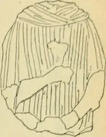 An illustration from Répertoire de la statuaire grecque et romaine (1908)