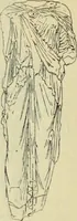 An illustration from Répertoire de la statuaire grecque et romaine (1908)