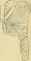 An illustration from Répertoire de la statuaire grecque et romaine (1908)