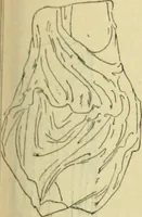 An illustration from Répertoire de la statuaire grecque et romaine (1908)