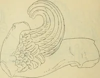 An illustration from Répertoire de la statuaire grecque et romaine (1908)