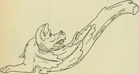 An illustration from Répertoire de la statuaire grecque et romaine (1908)