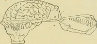 An illustration from Répertoire de la statuaire grecque et romaine (1908)