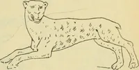 An illustration from Répertoire de la statuaire grecque et romaine (1908)