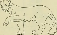 An illustration from Répertoire de la statuaire grecque et romaine (1908)