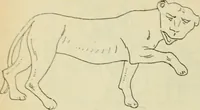 An illustration from Répertoire de la statuaire grecque et romaine (1908)