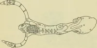An illustration from Répertoire de la statuaire grecque et romaine (1908)