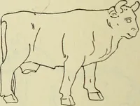 An illustration from Répertoire de la statuaire grecque et romaine (1908)