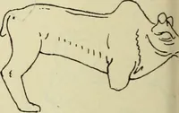 An illustration from Répertoire de la statuaire grecque et romaine (1908)