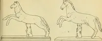 An illustration from Répertoire de la statuaire grecque et romaine (1908)