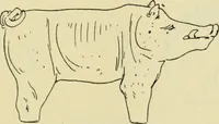 An illustration from Répertoire de la statuaire grecque et romaine (1908)