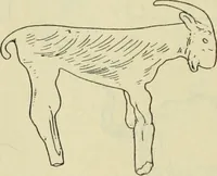 An illustration from Répertoire de la statuaire grecque et romaine (1908)