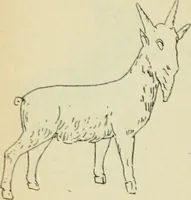An illustration from Répertoire de la statuaire grecque et romaine (1908)
