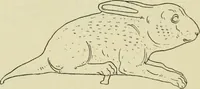 An illustration from Répertoire de la statuaire grecque et romaine (1908)