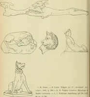 An illustration from Répertoire de la statuaire grecque et romaine (1908)