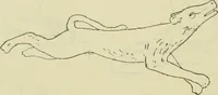 An illustration from Répertoire de la statuaire grecque et romaine (1908)