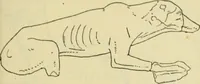 An illustration from Répertoire de la statuaire grecque et romaine (1908)