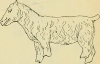An illustration from Répertoire de la statuaire grecque et romaine (1908)