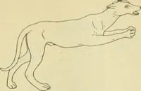 An illustration from Répertoire de la statuaire grecque et romaine (1908)