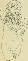 Picture 155 of 2223 from Répertoire de la statuaire grecque et romaine (1908), leaf 55