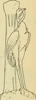 An illustration from Répertoire de la statuaire grecque et romaine (1908)