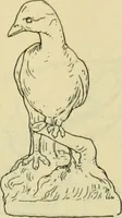 An illustration from Répertoire de la statuaire grecque et romaine (1908)