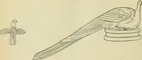 An illustration from Répertoire de la statuaire grecque et romaine (1908)