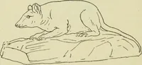 An illustration from Répertoire de la statuaire grecque et romaine (1908)