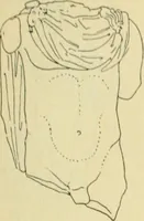 Picture 205 of 2223 from Répertoire de la statuaire grecque et romaine (1908), leaf 78