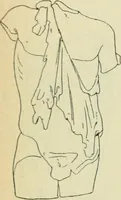 Picture 259 of 2223 from Répertoire de la statuaire grecque et romaine (1908), leaf 91