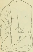 An illustration from Répertoire de la statuaire grecque et romaine (1908)