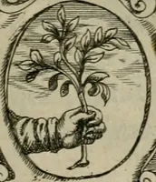 An illustration from R.P. Ioannis Bvsæi Societatis Iesv theologi De statibus hominvm liber posthumus .. (1613)