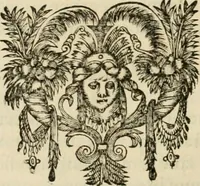 An illustration from R.P. Ioannis Francisci Niceronis Parisini, ex Ord. Minim. Thaumaturgus opticus, seu, Admiranda optices, per radium directum : catoptrices, per reflexum è politis corporibus ... : dioptrices, per refractum in diaphanis ... pars prima .. (1646)