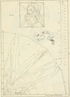 An illustration from R.P. Ioannis Francisci Niceronis Parisini, ex Ord. Minim. Thaumaturgus opticus, seu, Admiranda optices, per radium directum : catoptrices, per reflexum è politis corporibus ... : dioptrices, per refractum in diaphanis ... pars prima .. (1646)