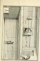 An illustration from R.P. Ioannis Francisci Niceronis Parisini, ex Ord. Minim. Thaumaturgus opticus, seu, Admiranda optices, per radium directum : catoptrices, per reflexum è politis corporibus ... : dioptrices, per refractum in diaphanis ... pars prima .. (1646)