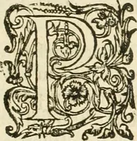 An illustration from R.P. Ioannis Francisci Niceronis Parisini, ex Ord. Minim. Thaumaturgus opticus, seu, Admiranda optices, per radium directum : catoptrices, per reflexum è politis corporibus ... : dioptrices, per refractum in diaphanis ... pars prima .. (1646)