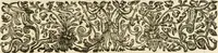 An illustration from R.P. Ioannis Francisci Niceronis Parisini, ex Ord. Minim. Thaumaturgus opticus, seu, Admiranda optices, per radium directum : catoptrices, per reflexum è politis corporibus ... : dioptrices, per refractum in diaphanis ... pars prima .. (1646)