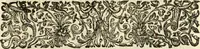 An illustration from R.P. Ioannis Francisci Niceronis Parisini, ex Ord. Minim. Thaumaturgus opticus, seu, Admiranda optices, per radium directum : catoptrices, per reflexum è politis corporibus ... : dioptrices, per refractum in diaphanis ... pars prima .. (1646)
