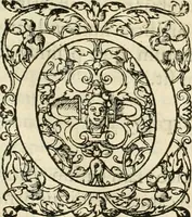 An illustration from R.P. Ioannis Francisci Niceronis Parisini, ex Ord. Minim. Thaumaturgus opticus, seu, Admiranda optices, per radium directum : catoptrices, per reflexum è politis corporibus ... : dioptrices, per refractum in diaphanis ... pars prima .. (1646)