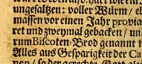 An illustration from RR. PP. Antonii Sepp, und Antonii Böhm, der Societät Jesu Priestern teutscher Nation, deren der erste aus Tyrol an der Etsch, der ander aus Bayrn gebürtig, Reissbeschreibung wie dieselbe aus Hispanien in Paraquariam kommen. : Und kurtzer Bericht der denckwürdigsten Sachen selbiger Landschafft, Völckern, und Arbeitung der sich alldort befindenten PP Missionariorum. (1696)