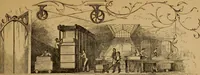 An illustration from R & A specimens (1865)