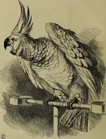 An illustration from The Rt. Hon. John Bright, M. P. : cartoons from the collection of "Mr. Punch" (1898)