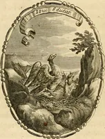 Picture 9 of 34 from Caroli Ruaei e Societate Jesu Carminum libri quatuor (1680), leaf 205