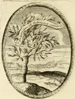 An illustration from Caroli Ruaei e Societate Jesu Carminum libri quatuor (1680)