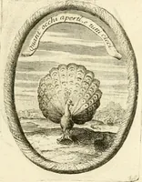 An illustration from Caroli Ruaei e Societate Jesu Carminum libri quatuor (1680)