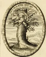 An illustration from Caroli Ruaei e Societate Jesu Carminum libri quatuor (1680)