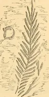 An illustration from Rude stone monuments in all countries; their age and uses (1872)
