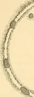 An illustration from Rude stone monuments in all countries; their age and uses (1872)